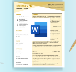 Senior IT Leader Resume Template