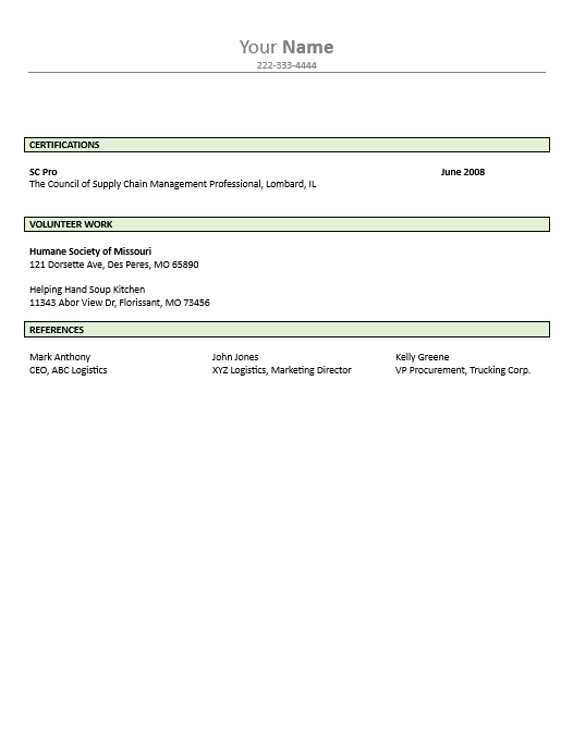 Procurement Manager Resume Template - Image 2